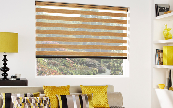 Vision Blinds
